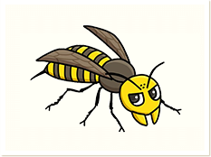 ハチの生態と駆除