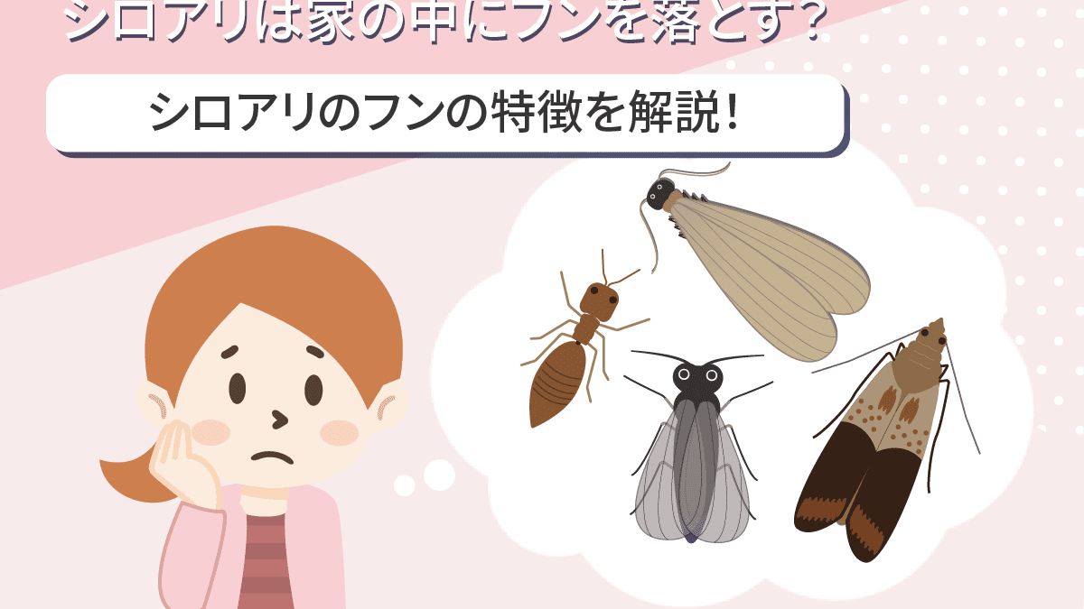 砂粒状のフンはアメリカカンザイシロアリの可能性が 発見したら放置は厳禁 シロアリの雨宮のコラム