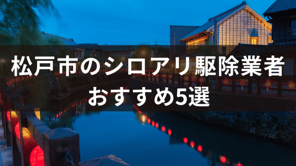 松戸市のシロアリ駆除業者おすすめ5選！業者を選ぶ時のポイントなども解説