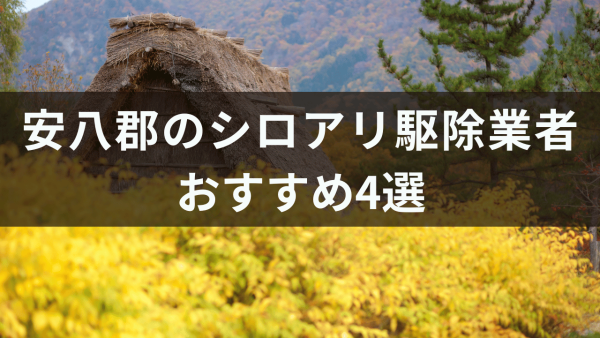 安八郡のシロアリ駆除業者おすすめ4選！シロアリの卵の特徴と駆除方法について解説