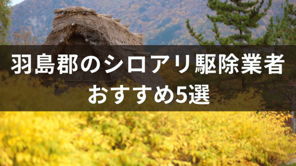 羽島郡のシロアリ駆除業者おすすめ5選！シロアリの発生原因について解説