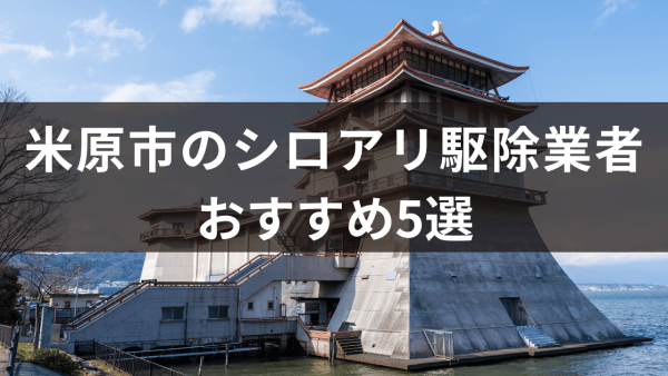 米原市のシロアリ駆除業者おすすめ5選！シロアリの生態や活動時期ついても解説