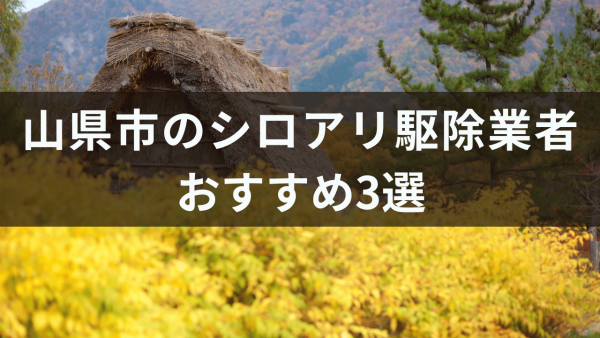 山県市のシロアリ駆除業者おすすめ3選！壁にシロアリ発生している特徴について解説