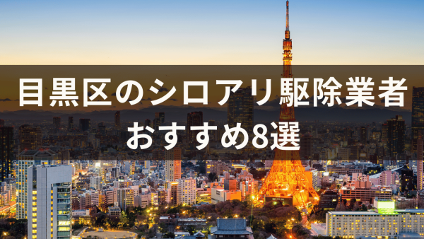 目黒区のシロアリ駆除業者おすすめ8選！シロアリが発生しやすい時期も解説