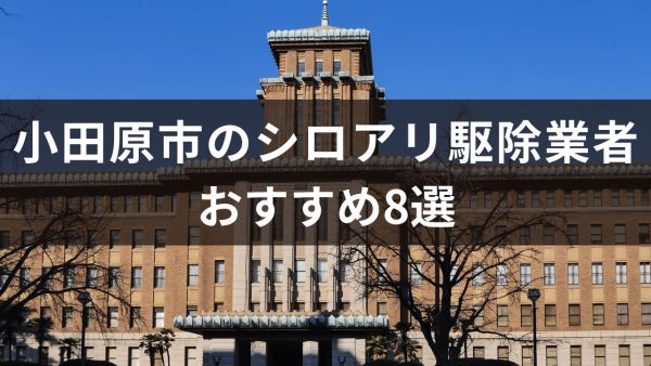 小田原市のシロアリ駆除業者おすすめ8選！シロアリを見つけたときの対処法も解説