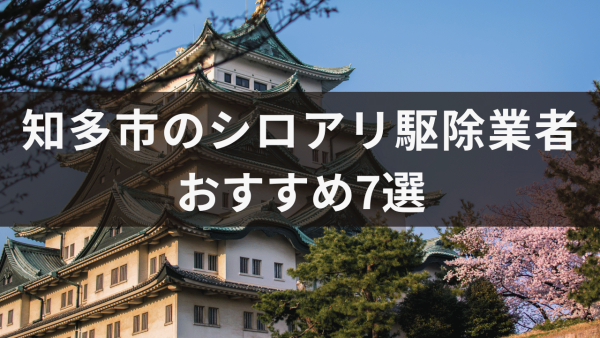 知多市のシロアリ駆除業者おすすめ7選！シロアリ対応が必要なサインについても解説