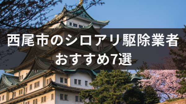 西尾市のシロアリ駆除業者おすすめ7選！シロアリ駆除について解説