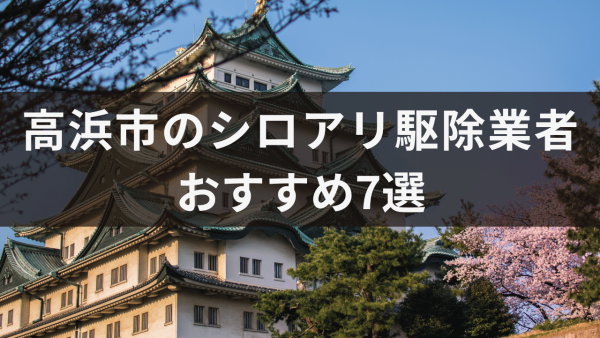 高浜市のシロアリ駆除業者おすすめ7選！シロアリが巣を作りやすい場所について解説