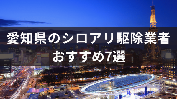 愛知県のシロアリ駆除業者おすすめ7選！シロアリ予防についても解説