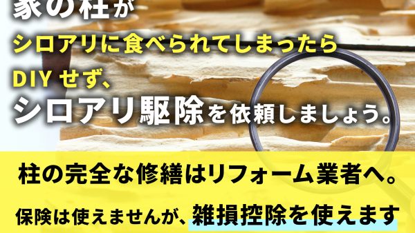 家の柱がシロアリに食べられた！リスクや対策、補修費用を解説