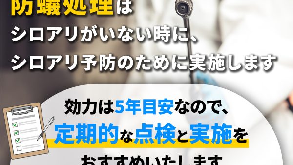 シロアリの防蟻処理とは？必要なタイミングや費用を解説