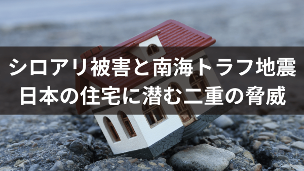 シロアリ被害と南海トラフ地震：日本の住宅に潜む二重の脅威