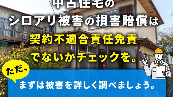 中古住宅にシロアリが見つかったら？購入前後の注意点と損害賠償について解説