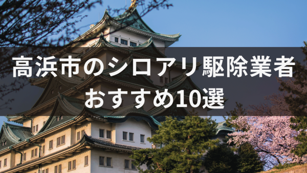 高浜市のシロアリ駆除業者おすすめ10選！シロアリが巣を作りやすい場所について解説