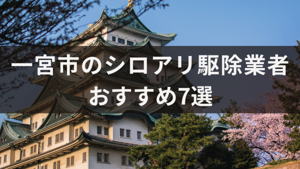 一宮市のシロアリ駆除業者おすすめ7選！シロアリの種類と発生時期についても解説